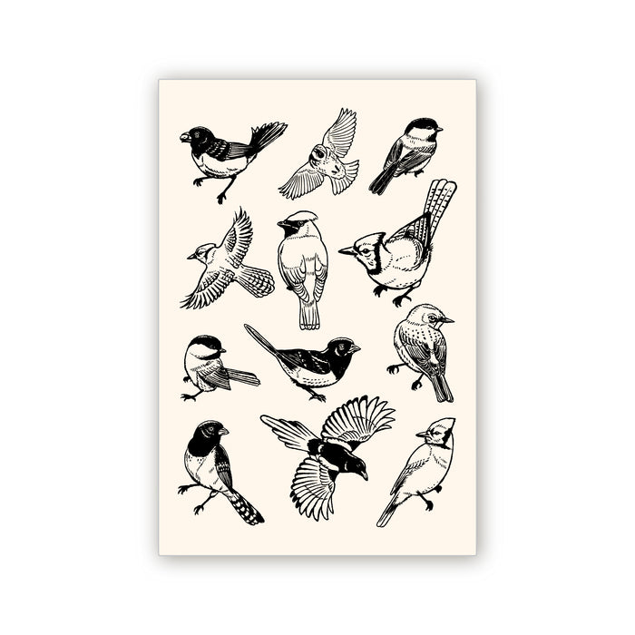 Birds Postcard