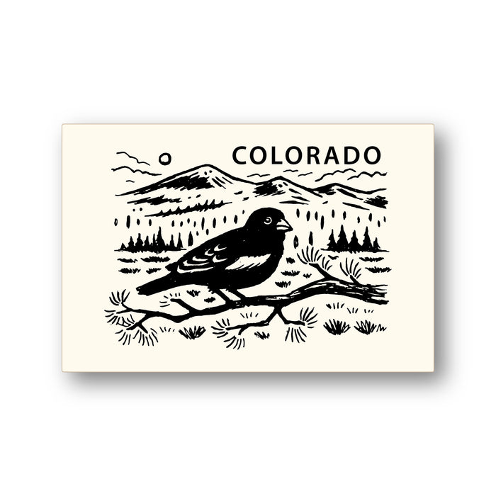 Colorado Bird Postcard